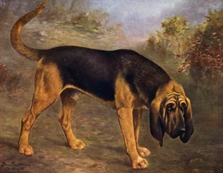 The Bloodhound Champion Hengist